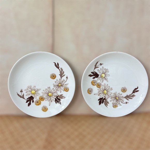 Set of 2 Johnson Brothers Daisies Won't Tell Pattern 6" Bread & Butter Plate - Picture 1 of 10